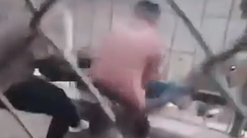 فيديو لنمر يسحب طفلاً من فتحات القفص.. وعملية معقدة لإنقاذه ً