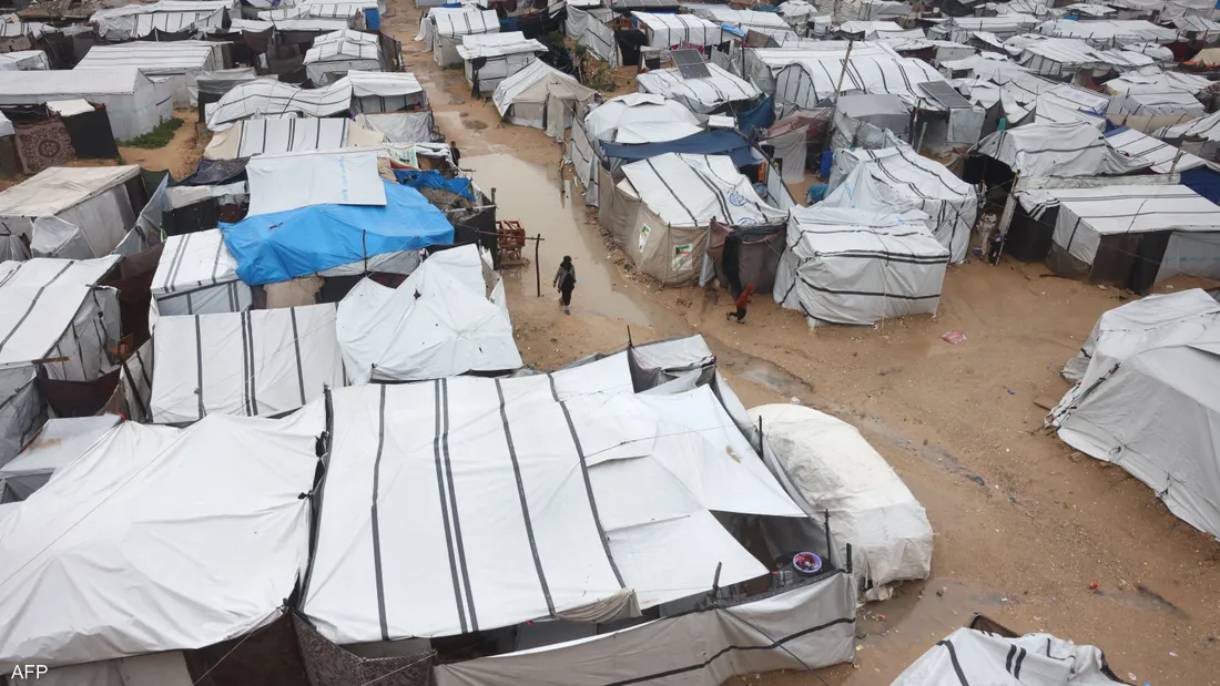 القوارض والحشرات تفاقم معاناة النازحين في غزة القوارض والحشرات تفاقم معاناة النازحين في غزة