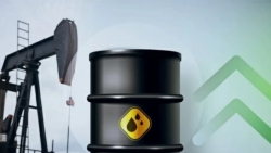 بتوقعات وقف إطلاق النار.. أسعار النفط إلى 98 دولاراً