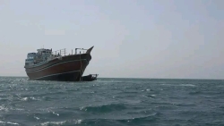 قوات العمالقة الجنوبية تضبط سفينة تهريب قادمة من إيران بالقرب من باب المندب